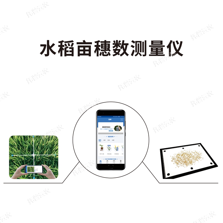 水稻畝穗數(shù)測(cè)量?jī)x TPDS-1
