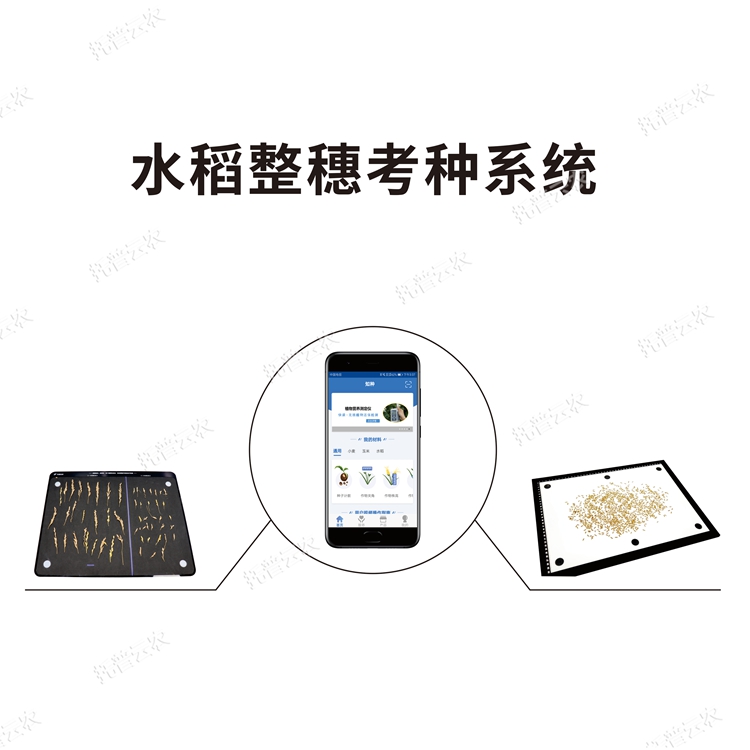 水稻整穗考種測(cè)量系統(tǒng) TPDS-X-1 plus