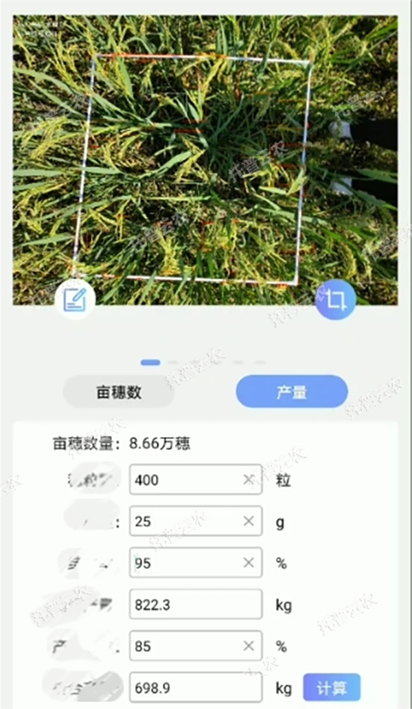 d085fb1a0e16b0198abab5202ceaa96b_1723451908124694.jpg